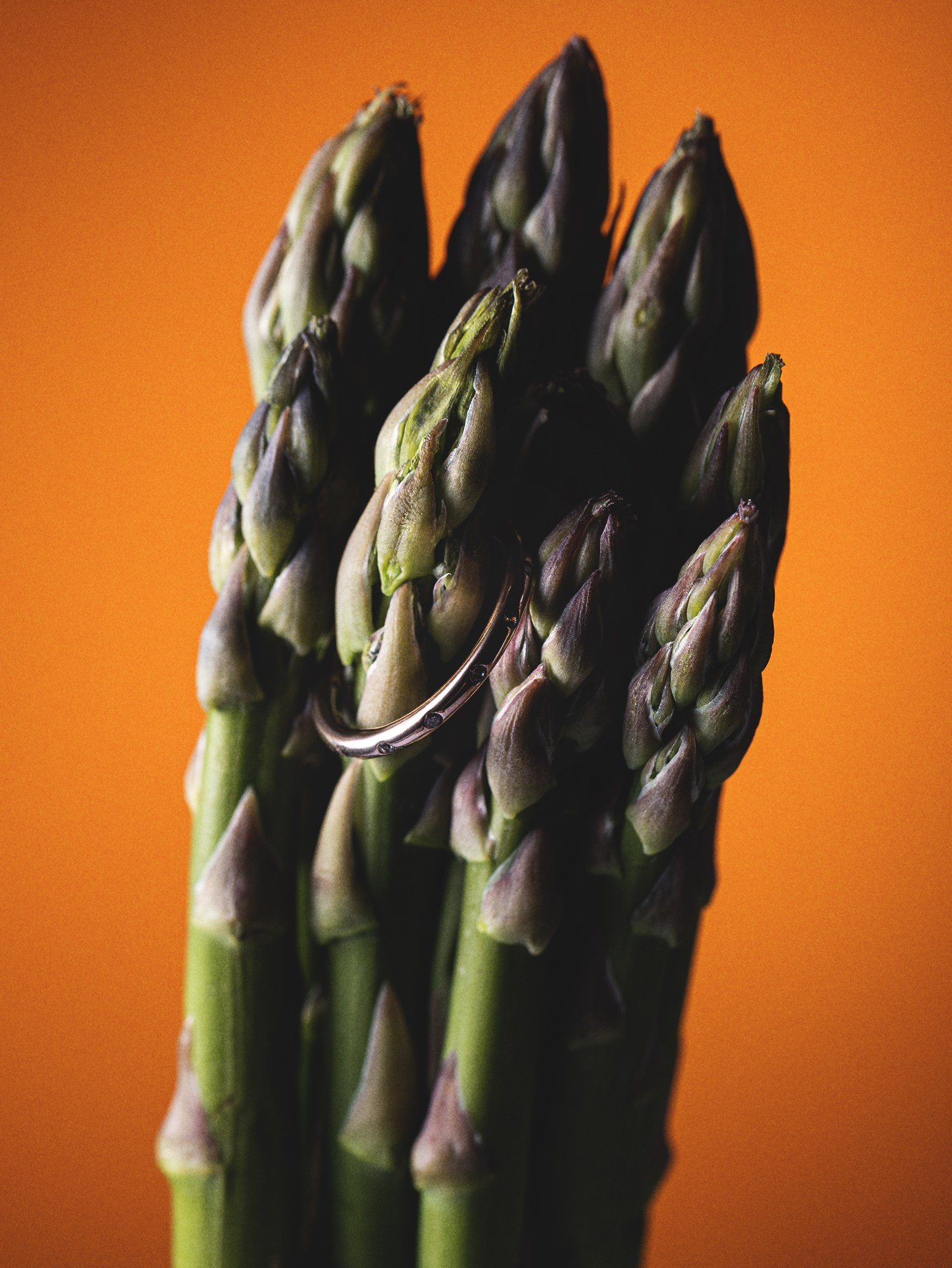 Michael Myatlev — Professional Product & Food Photography in Tallinn Estonia