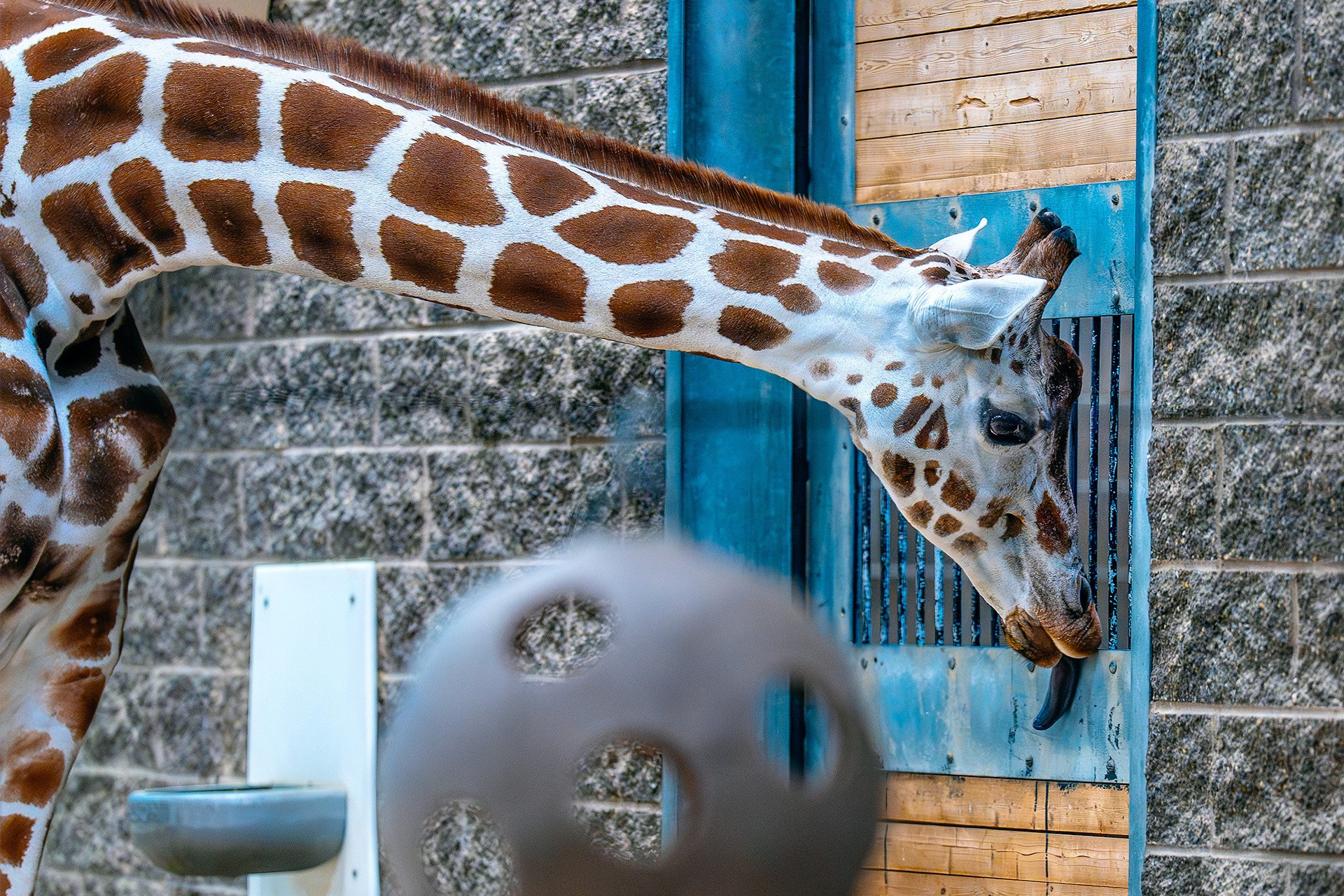 Best Street Photographer in New York City — Candid NYC Moments Captured by Emin Kuliyev. Emin Kuliyev — Award-Winning Wedding Photojournalist NYC & USA | Best Wedding Photographer Known for Candid, Timeless Moments