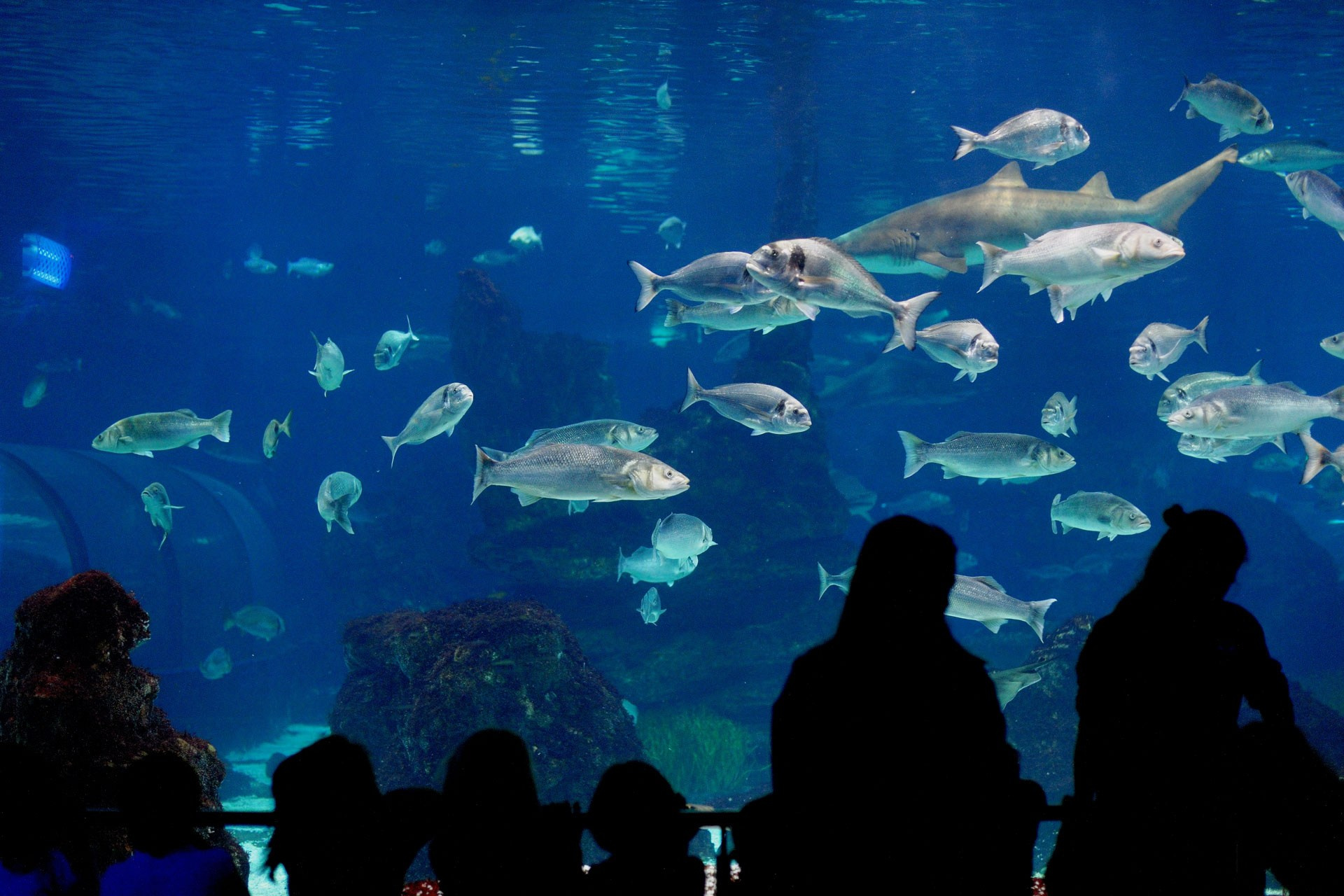 Spain Travel Photography