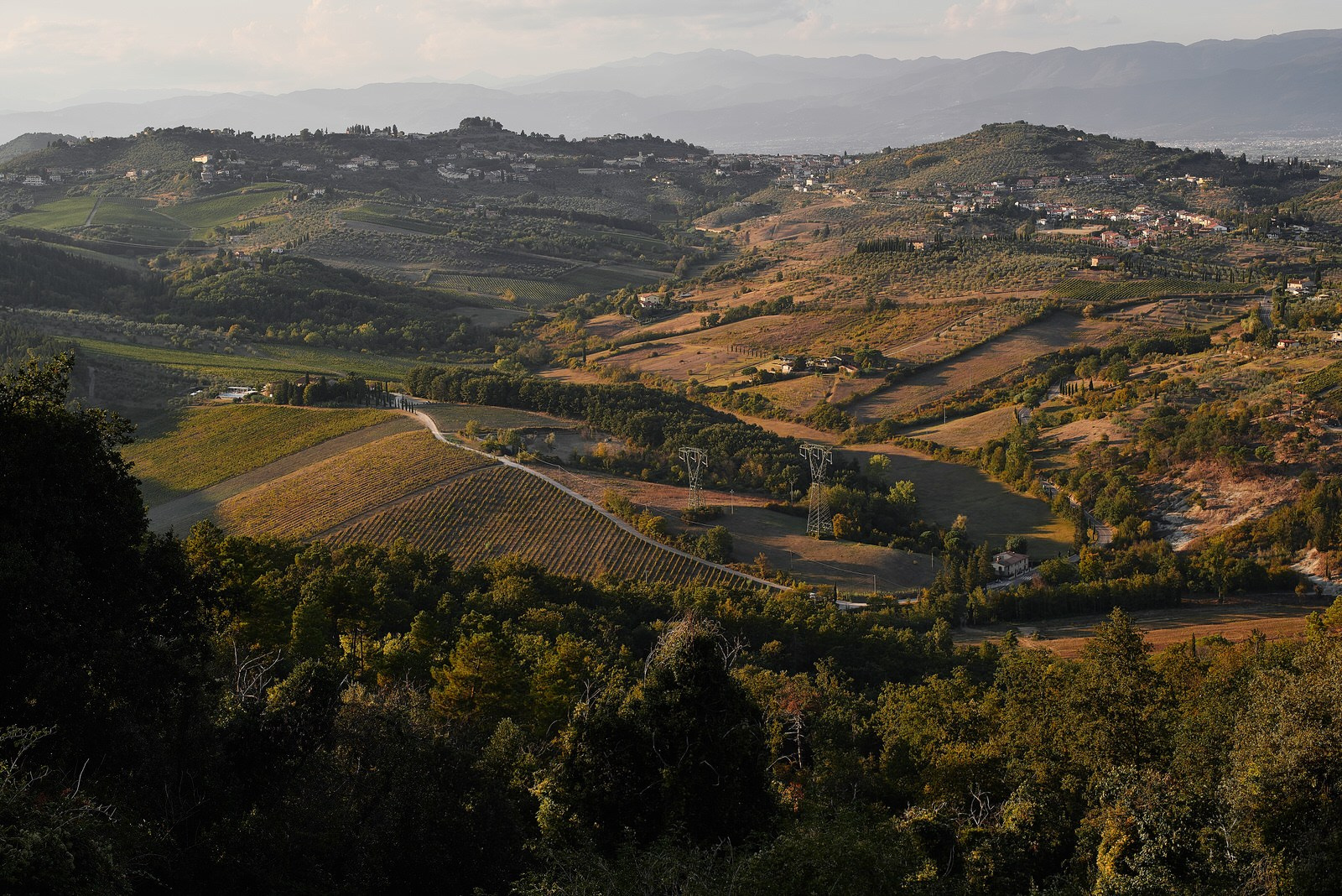 Ekaterina & Danil — Tuscany Wedding at Villa Barbara & La Ferdinanda. Bella Vita Weddings — Wedding Photography in Dubai & Destination