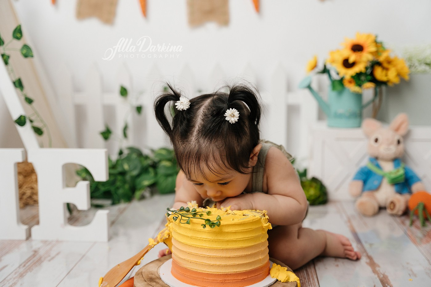 Cake smash session price guide. Newborn and family photographer. Hills District. Sydney