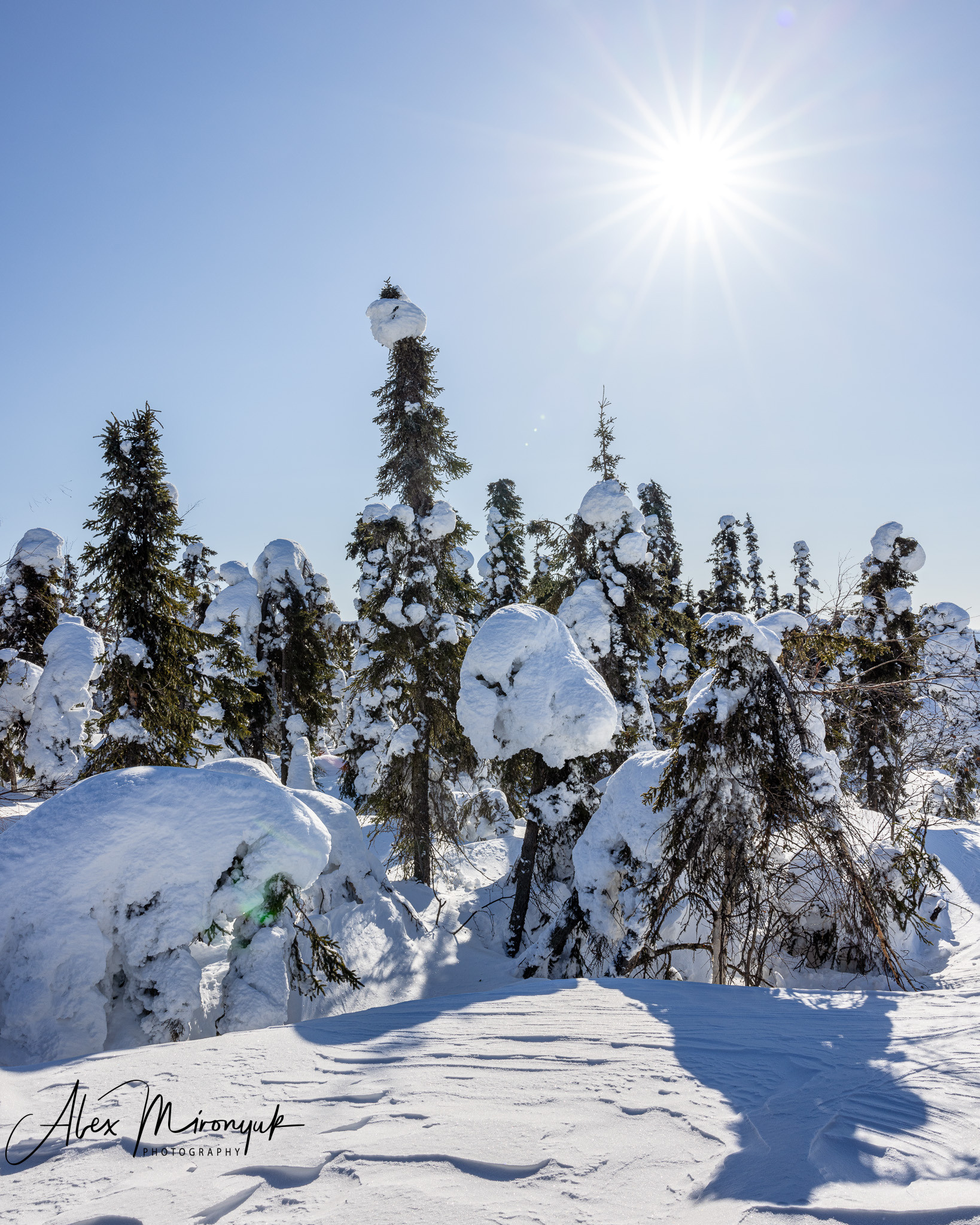Chasing the Aurora Borealis. Alex Mironyuk Photography