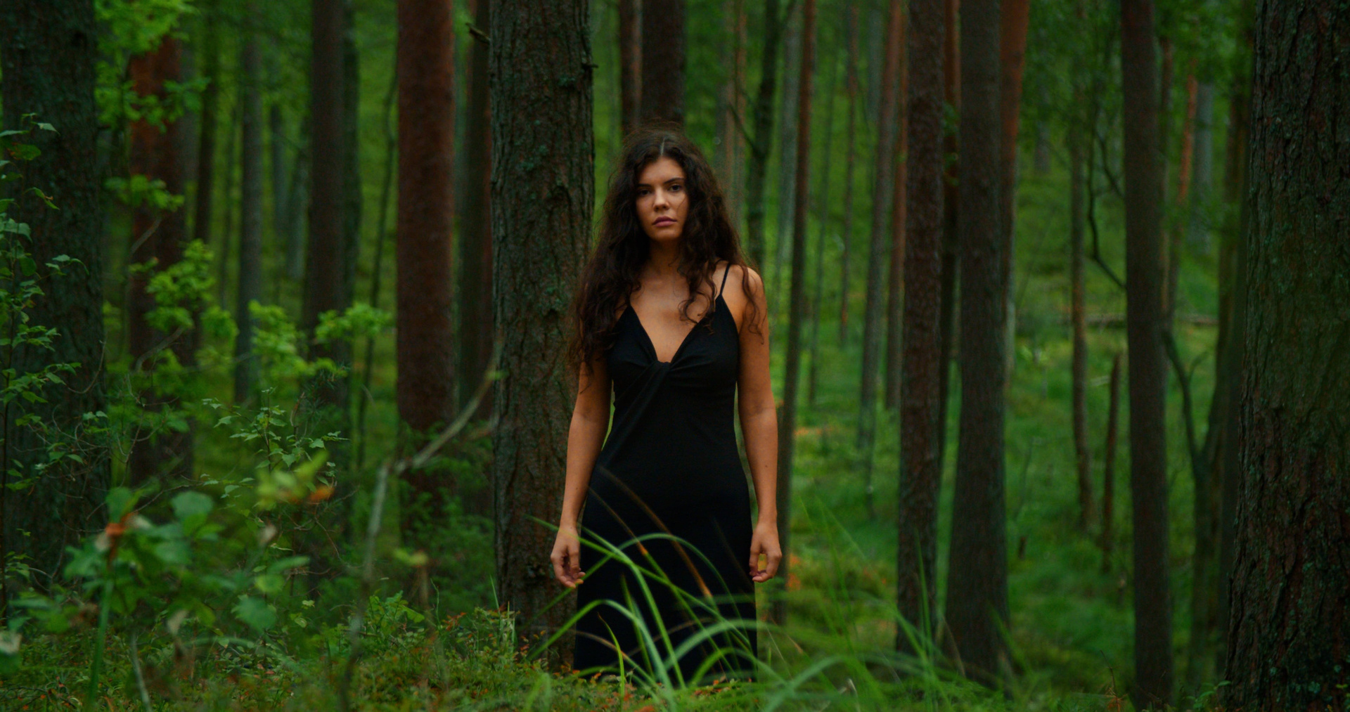 Video. SASHA FREEMIND