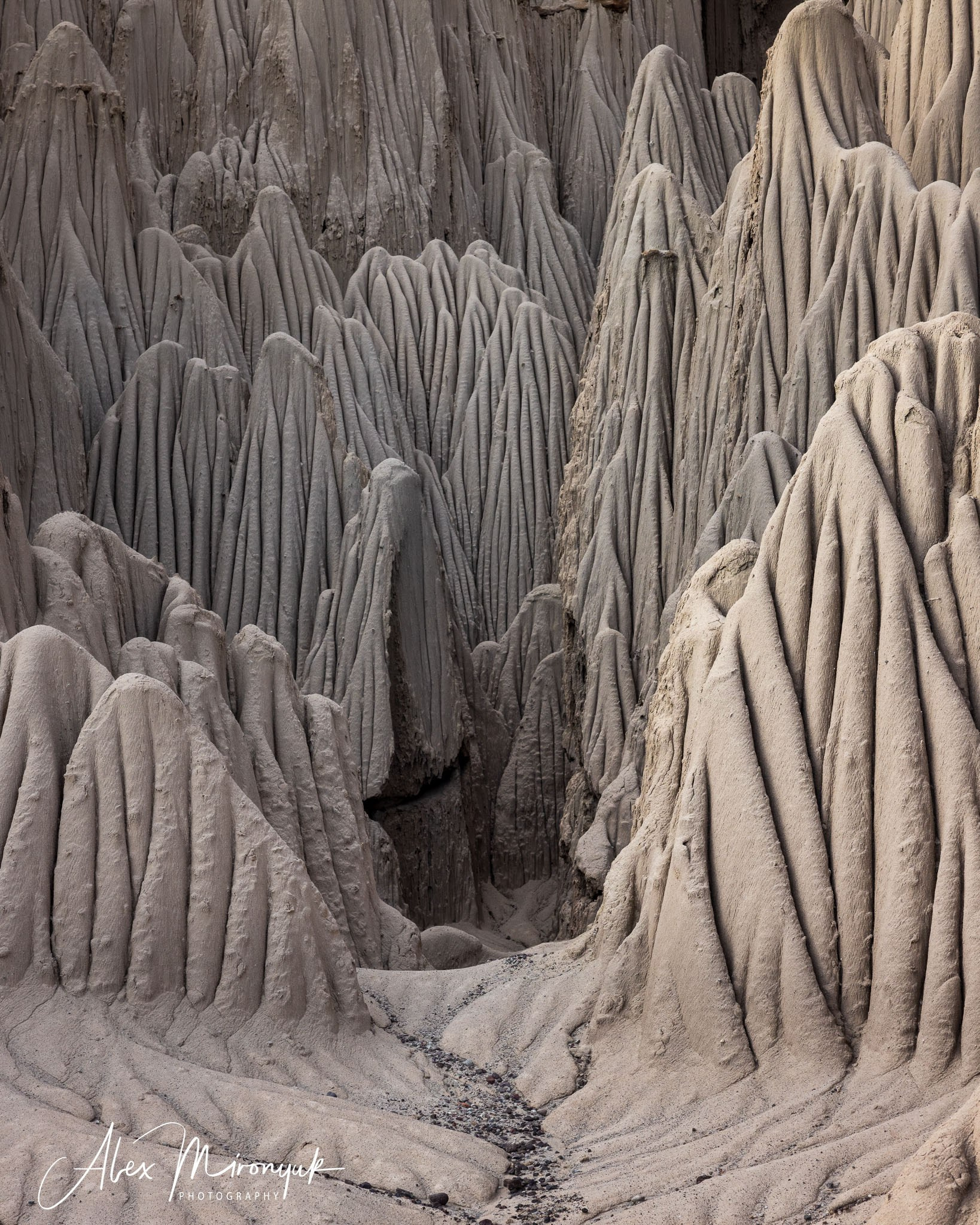 Bolivia Adventure — 2025. Pet, Senior, Landscape, portrait studio, photographer in Miami and Sou