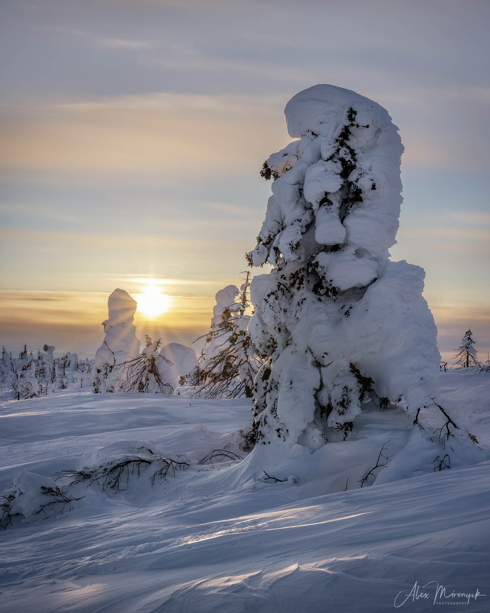 Chasing the Aurora Borealis. Pet, Senior, Landscape, portrait studio, photographer in Miami and Sou