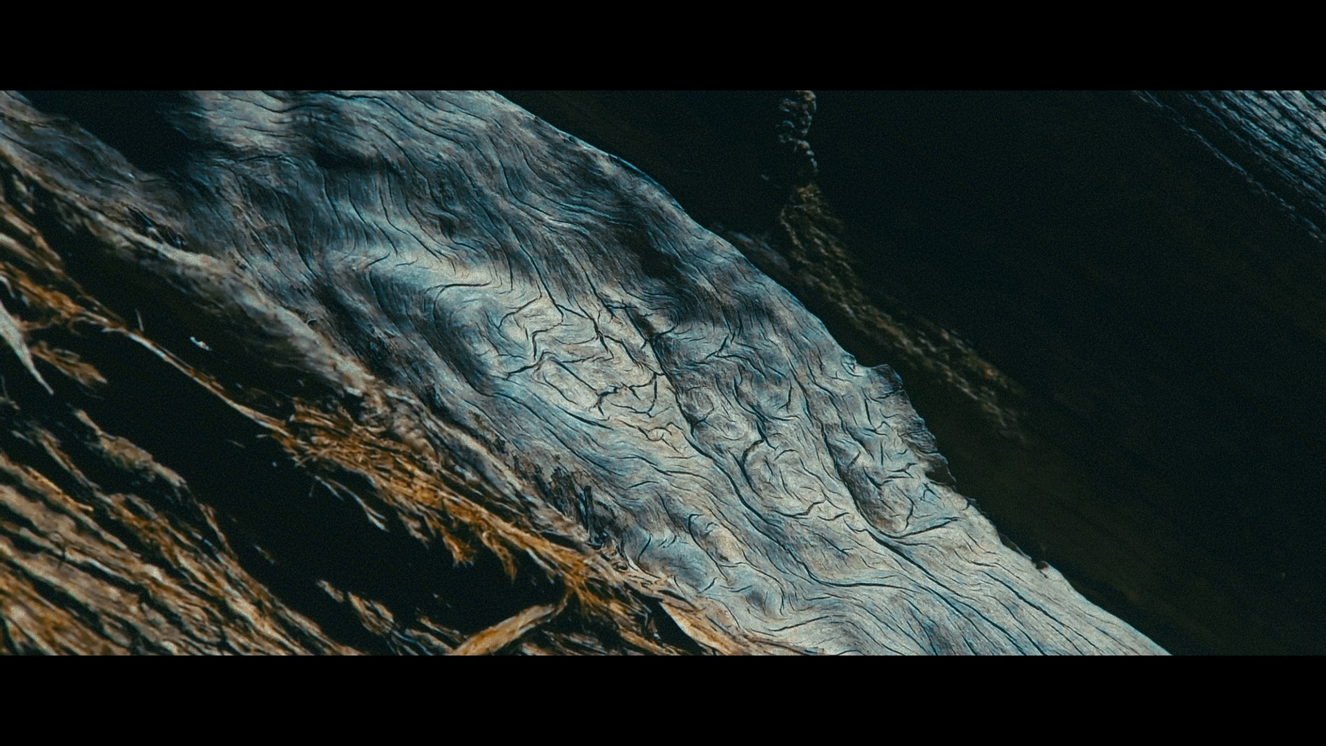 Amirhamzeh Mashayekhi Colorist