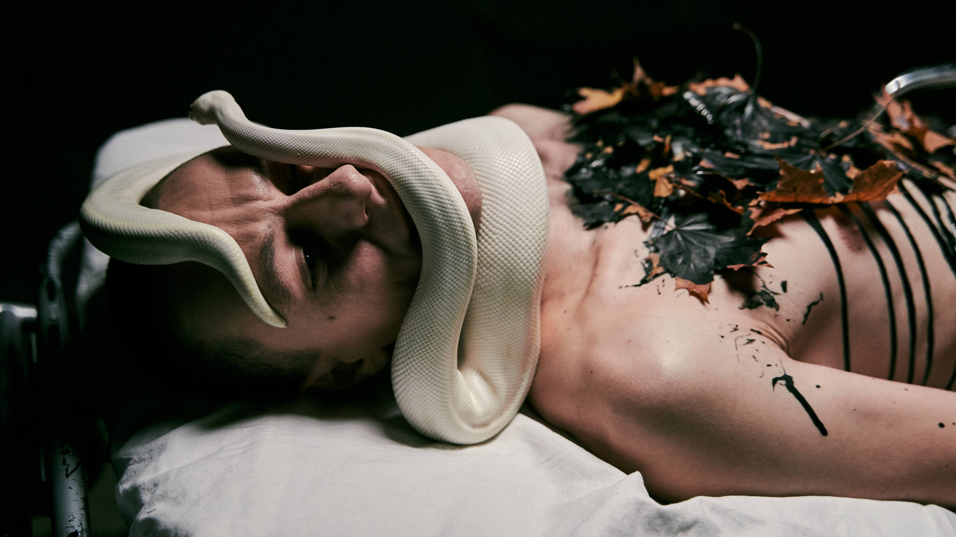 Пшеницын — видеопродакшн