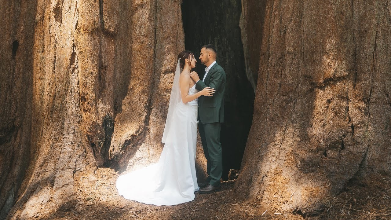 Videos. Tatiana Malysheva — family photographer and videographer in Valencia, Spain