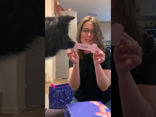 Подарунковий бокс. Фотограф-анімаліст Київ