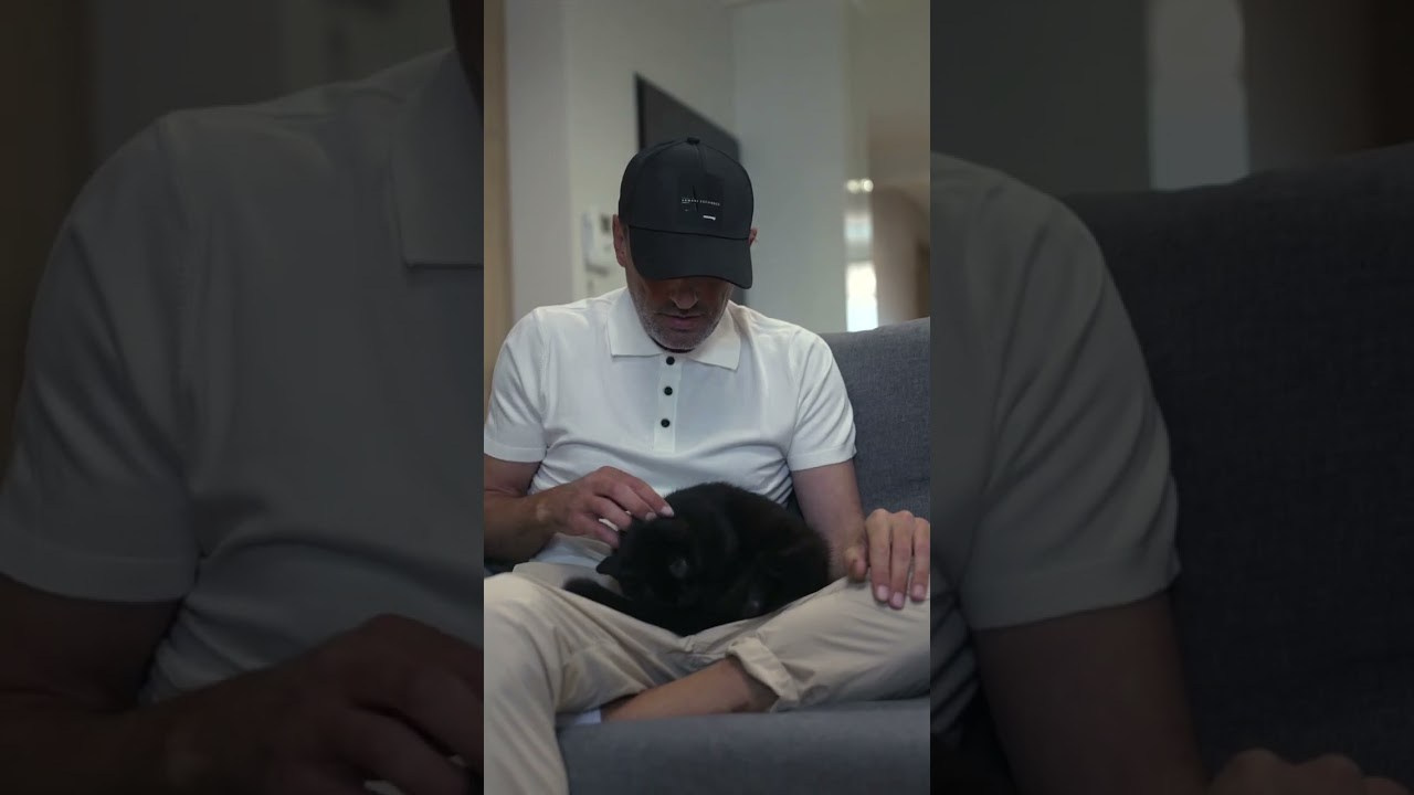 О компании. Перевозка животных с оформлением и сопровождением. Перевозка, доставка домашних животных