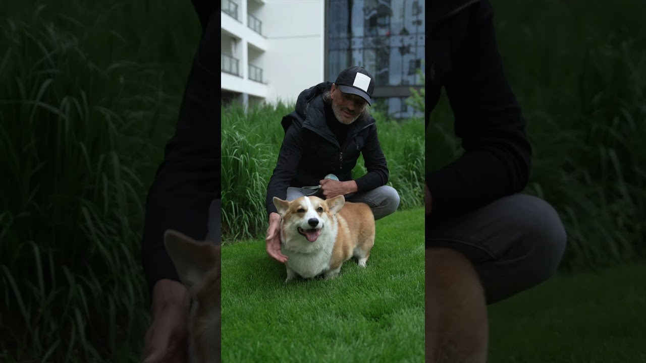 О компании. Перевозка животных с оформлением и сопровождением. Перевозка, доставка домашних животных