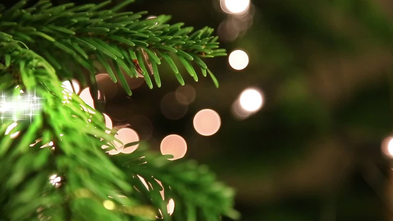 Слайд-шоу Одесса. Фотограф в Одессе, Киеве, Донецке Helena