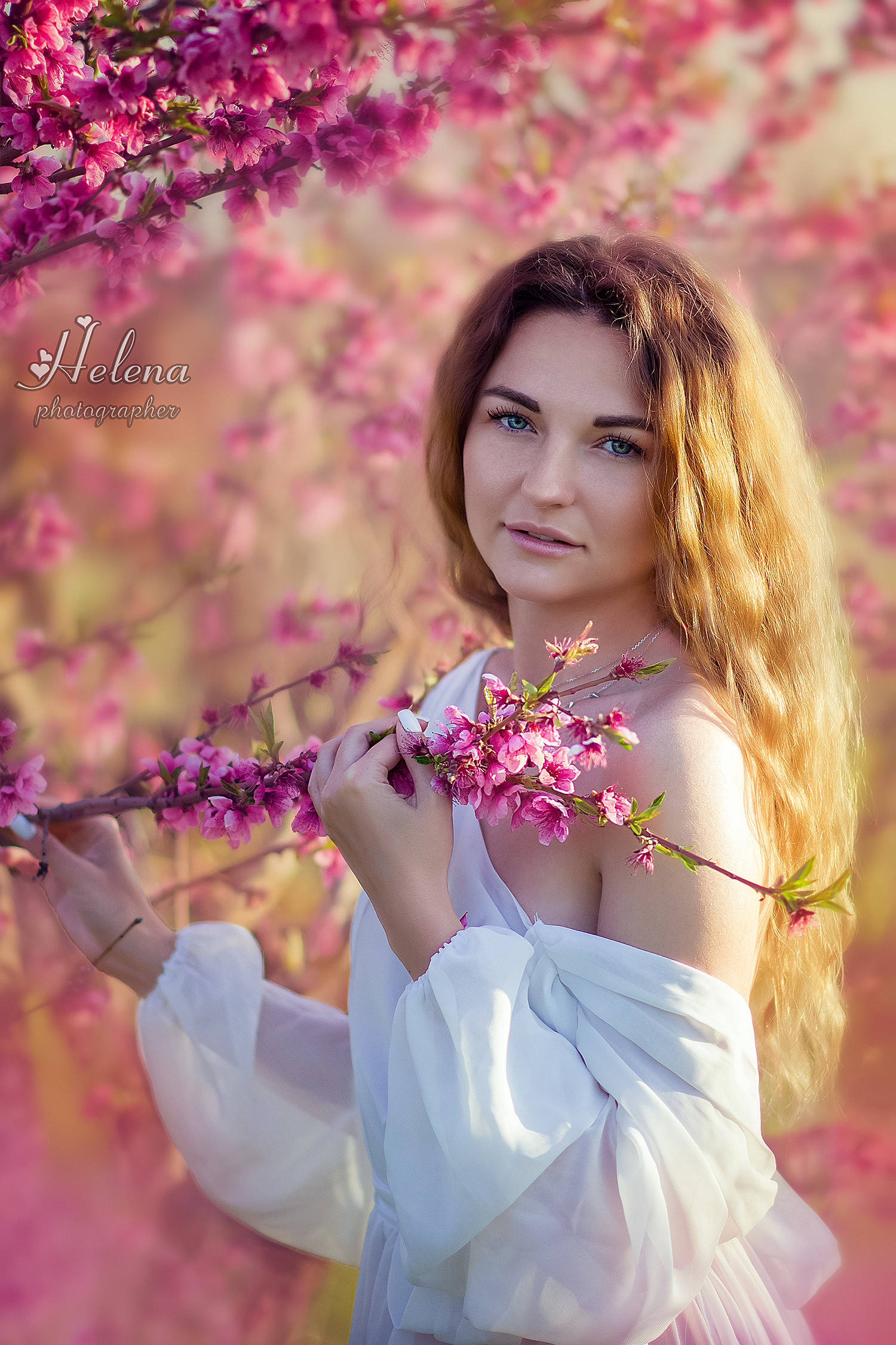 Фотосессия в лаванде. Фотограф в Одессе, Киеве, Донецке Helena