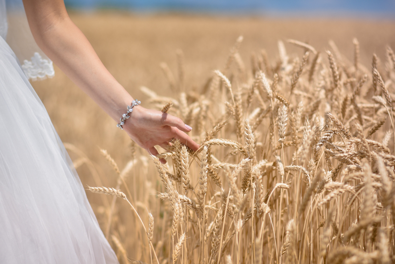 Свадебная съёмка. Детский и семейный фотограф Алёна Васильева