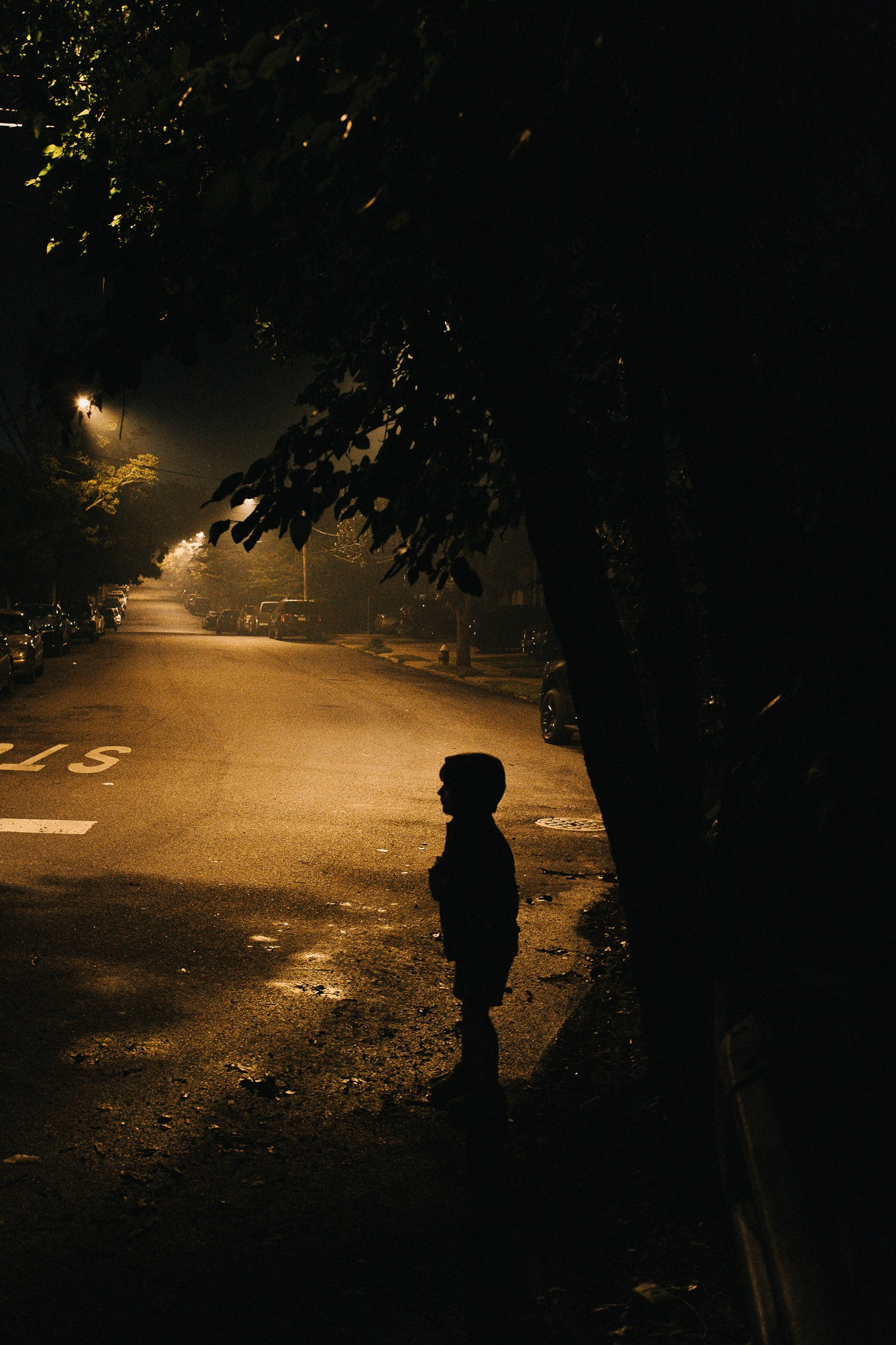 Світло В[Кадрі] 7.0. Every moment is special!