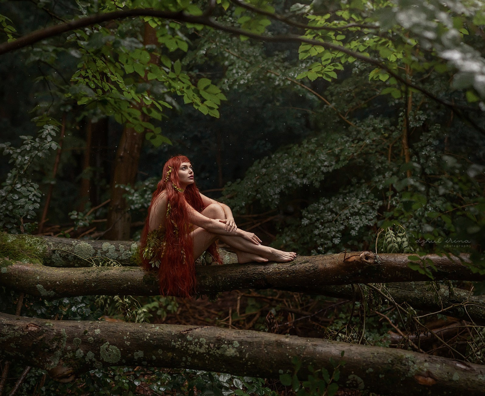 DRYAD. Art photographer in Amsterdam, the Netherlands Irina Dzhul