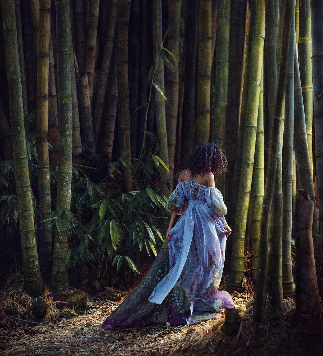 BAMBOO. Art photographer in Amsterdam, the Netherlands Irina Dzhul