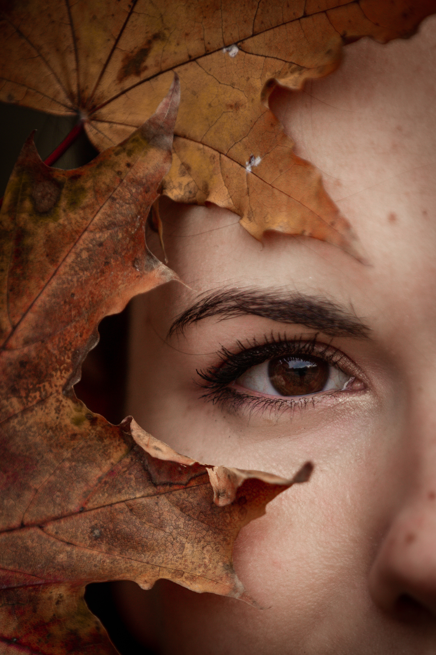 Wedding and Family Photographer