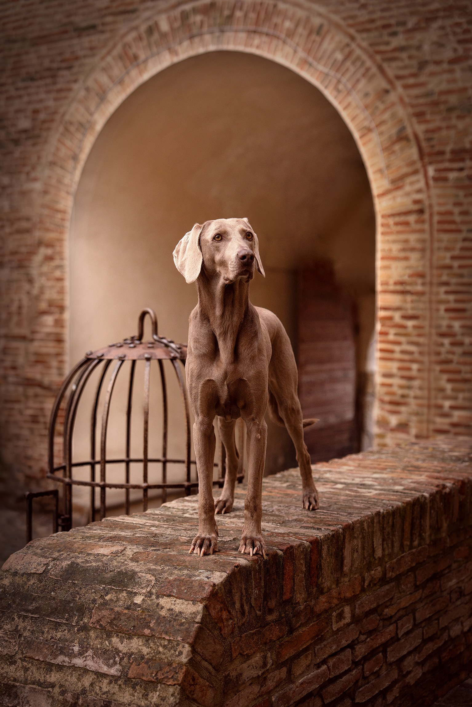 Fotografa a Riccione, ritratti di bambini e famiglia, animali domestici