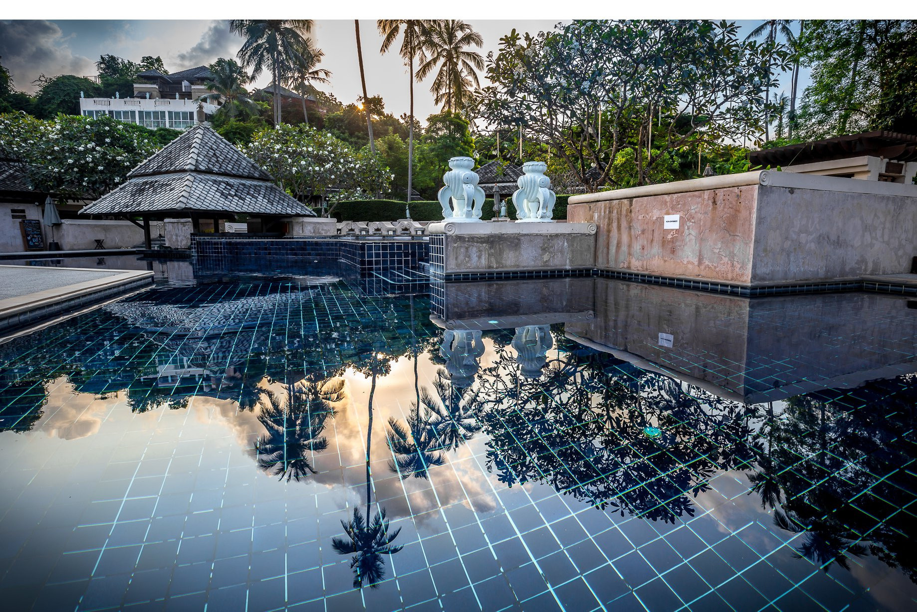 Landscape Garden and Interior photo shoot. Garden and interior photographer Elena Shavlovska, Netherlands