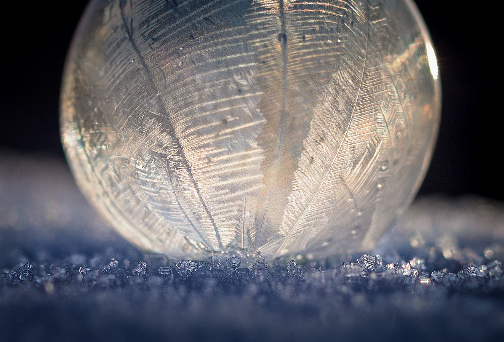 Frozen bubbles. Garden and interior photographer Elena Shavlovska, Netherlands