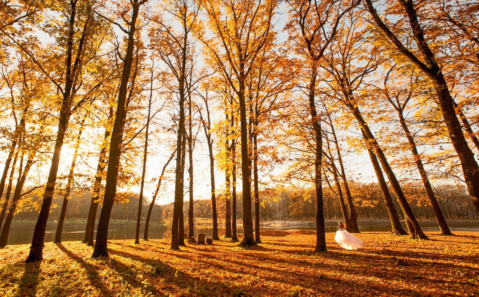 Elegant Wedding Photography