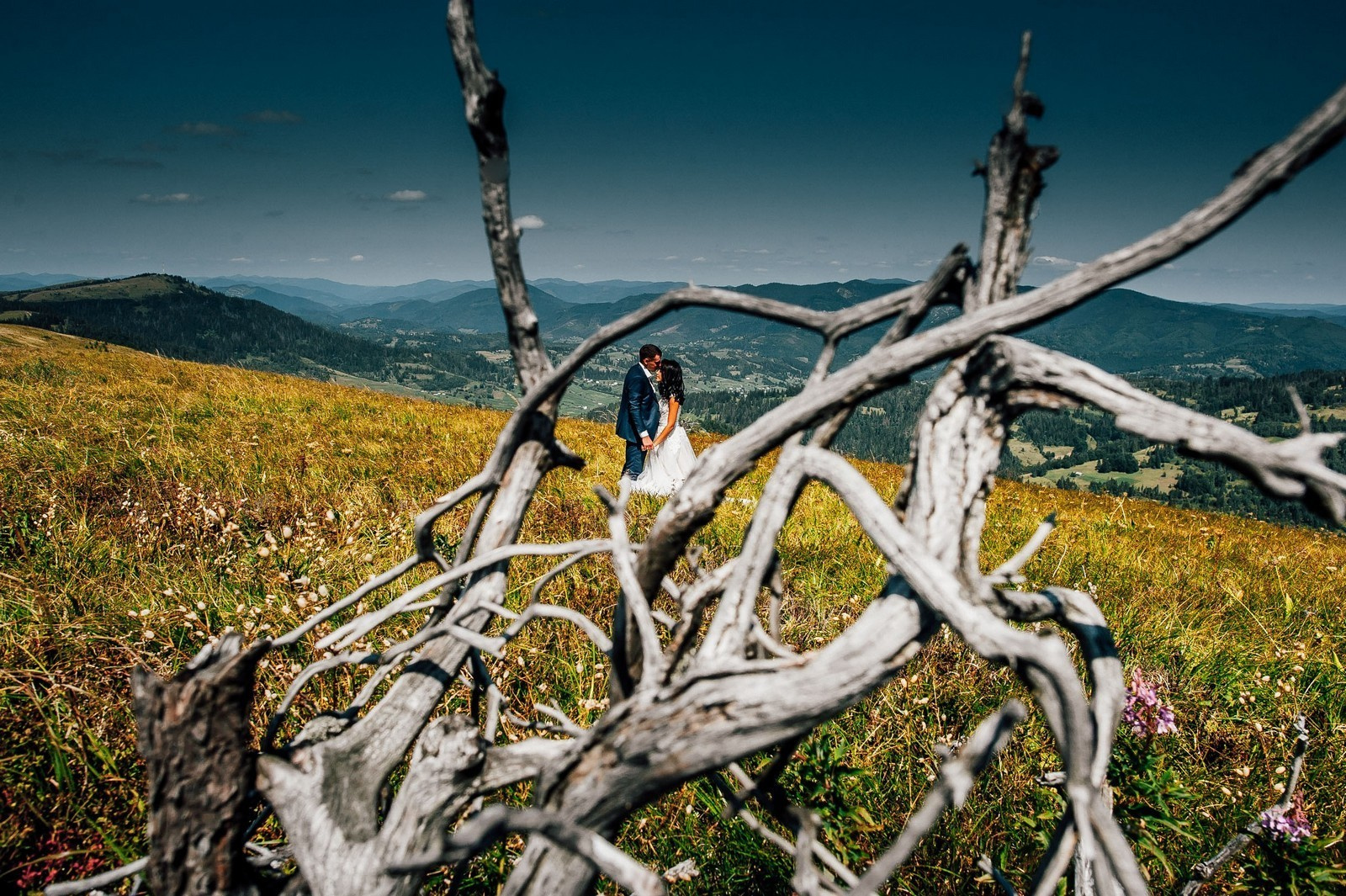 Elegant Wedding Photography