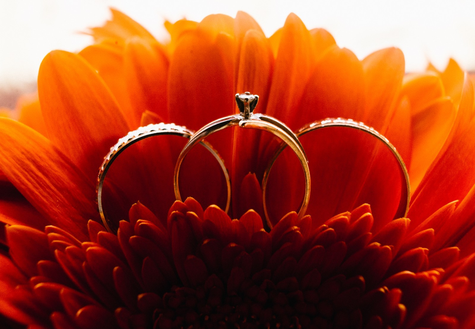 Elegant Wedding Photography