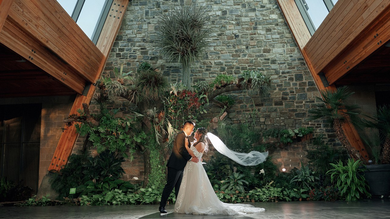 Wedding Videography. Wedding photography and videography team