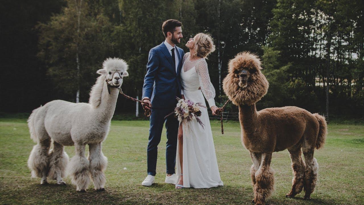 Dainius // Viktorija. Authentic Wedding Videography