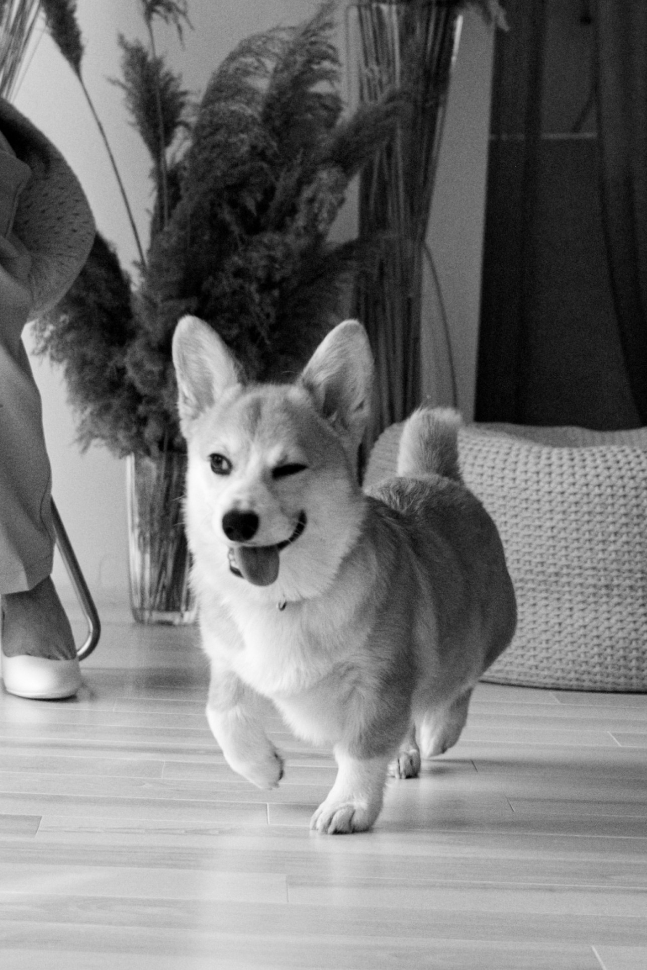 Відгуки. Репортажний та сімейний фотограф Дар’я Хорошавцева