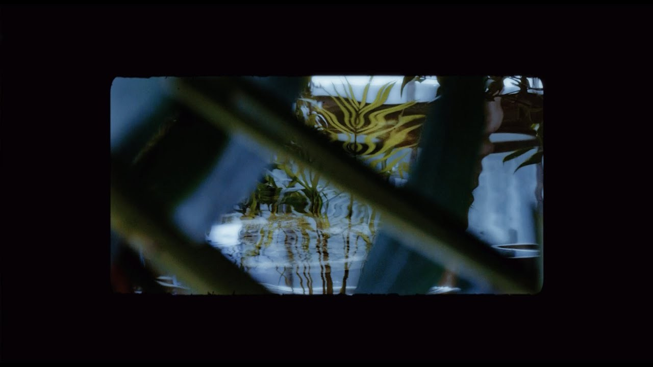 Video art by Alexandra Kozina