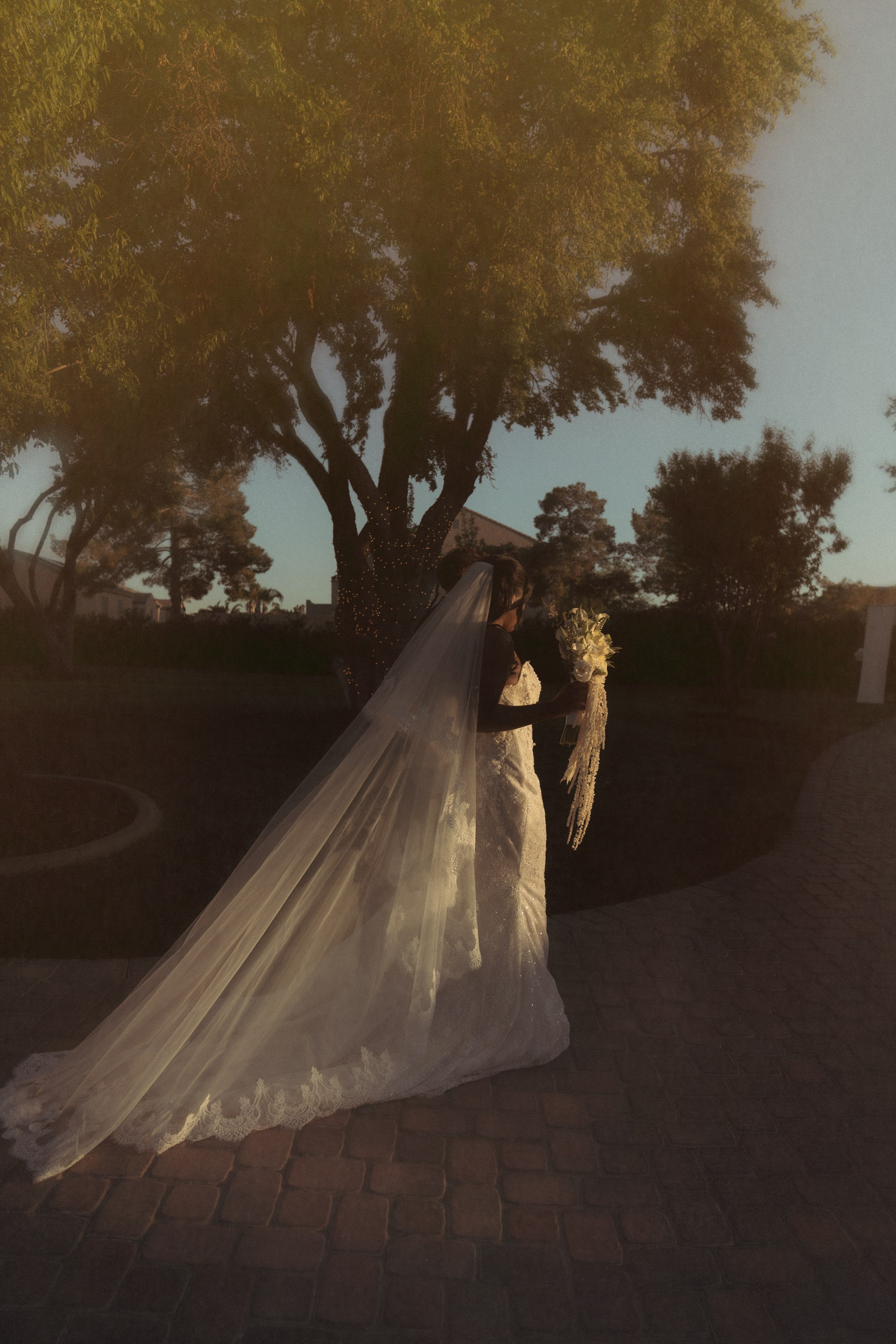 Prices. Wedding & elopement photographer Viktoriya Kravtsov. Las Vegas