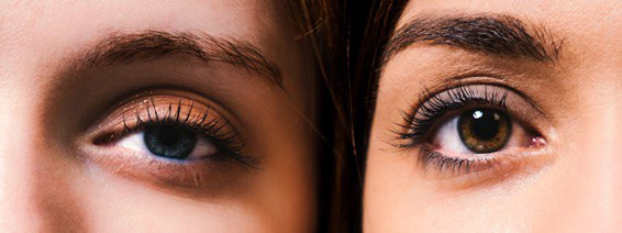 I nostri contatti. Grosu Photography